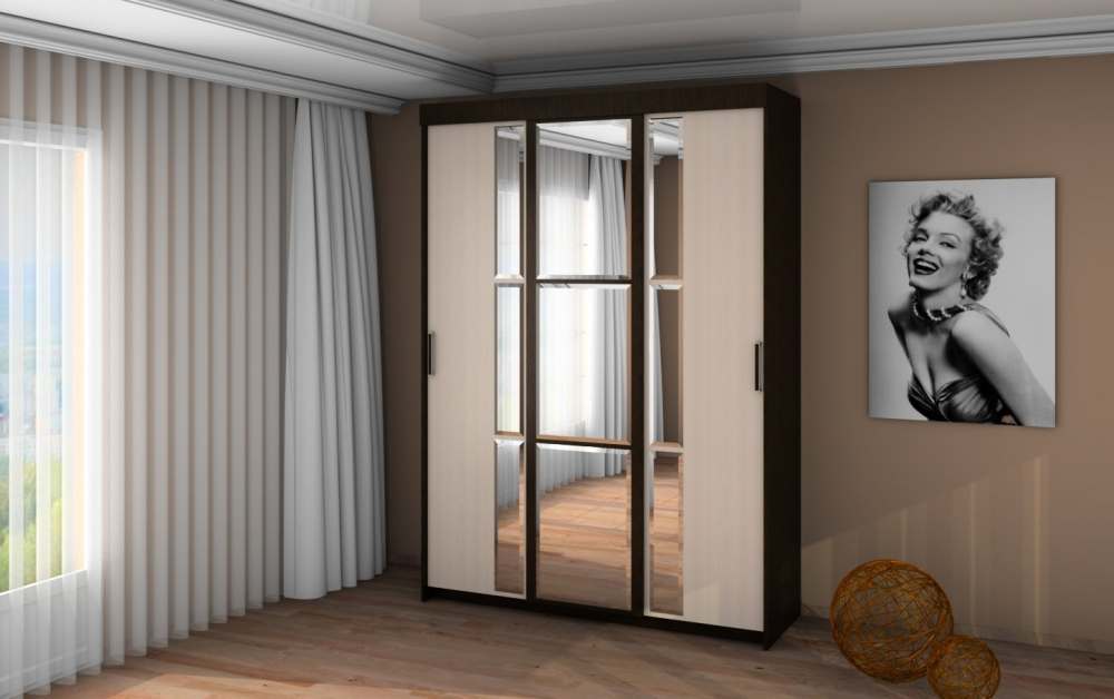 Шкаф-купе «SN 1.8»