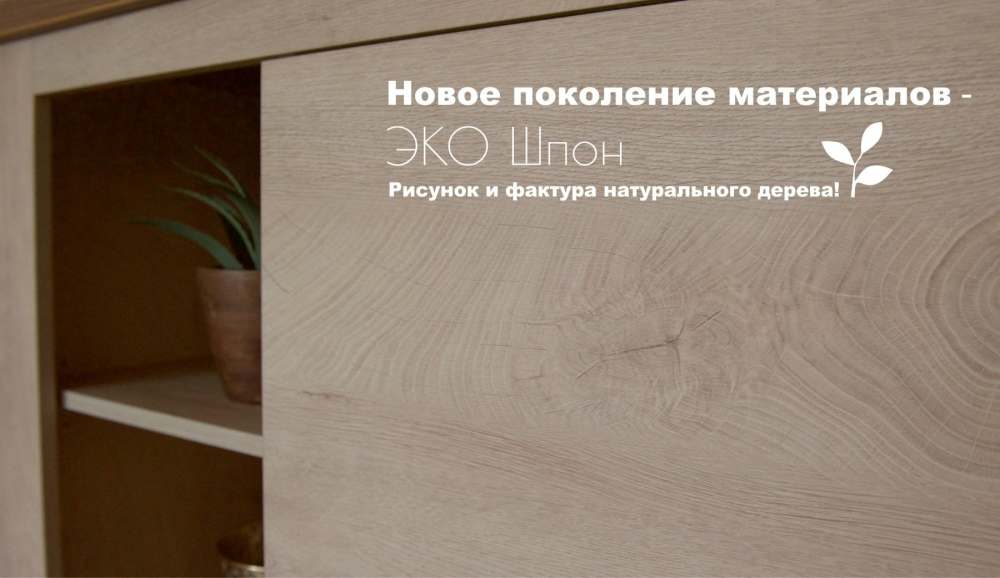Стенка «Мэдисон» Дуб эндгрейн/Дуб экспрессив бронзовый